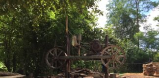 არარეგისტრირებული სახერხი საამქრო გამოავლინეს