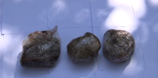 პოლიციამ თეთრიწყაროში 2 კგ-ზე მეტი ნარკოტიკული საშუალება ამოიღო – დაკავებულია 1 პირი