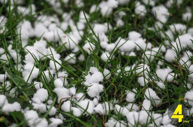 adfaad58-2d71-4484-b154-df9f3ca259a7_640 სეტყვაა