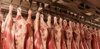 საგამოძიებო სამსახურმა ხორცის ნახევარფაბრიკატების ფალსიფიკაციის ორი ფაქტი გამოავლინა