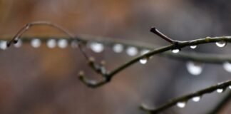 უახლოესი დღეების ამინდის პროგნოზი