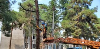 “რუსთავსერვის ცენტრი” სკოლების მიმდებარე ტერიტორიებს აწესრიგებს