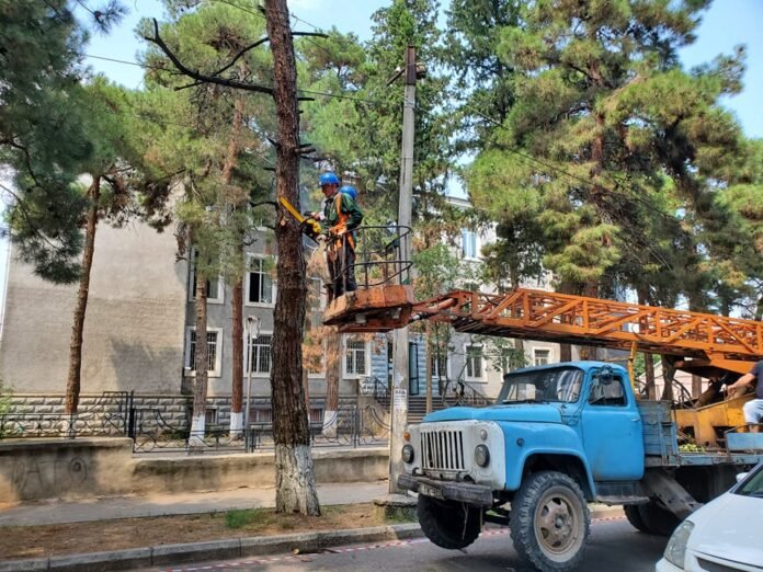 118654560_938864353267019_266155670701198938_n