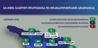 აგვისტოს თვეში უკანონო ტყითსარგებლობის 207 ფაქტი გამოვლინდა