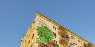 რუსთავში გიგანტური ხე გამოჩნდა (+ფოტო)