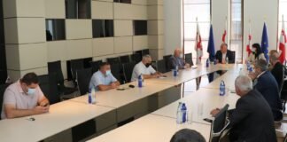 ქვემო ქართლში სამოქალაქო ინტეგრაციის საკითხებზე შეხვედრა გაიმართა