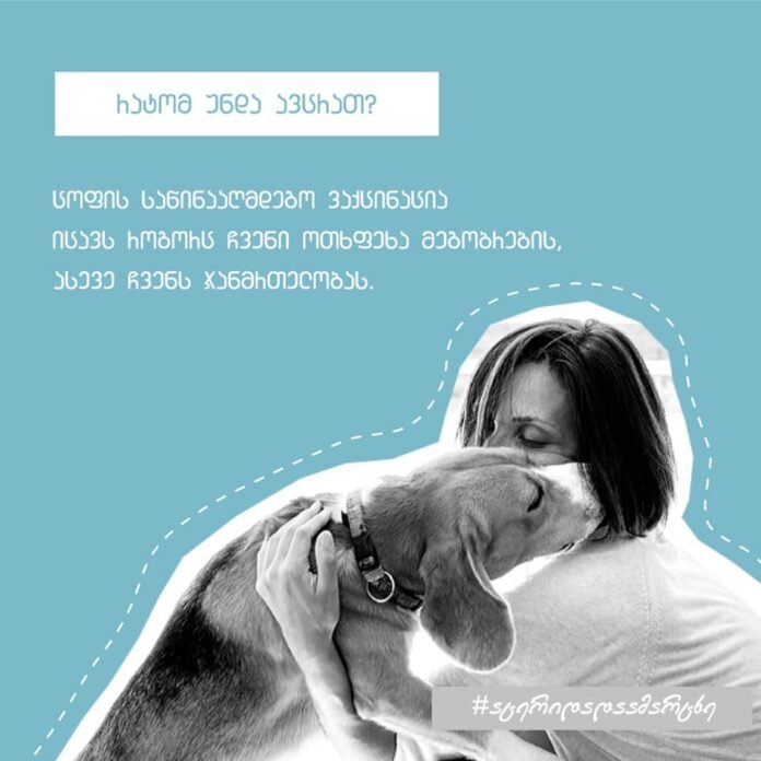 120074356_3323809117654960_65156233416991629_n