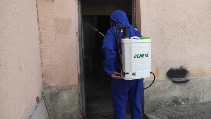 120129226_330769921471689_8948382286361350233_n