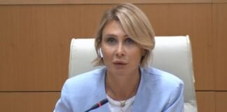 ნინო წილოსანი : გარემოსდაცვითი პასუხისმგებლობის კანონპროექტს ახლავს ბიზნესმენების მზაობა