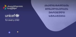 საქართველოში ახალგაზრდების მოხალისეობის ეროვნული სტრატეგია იქმნება