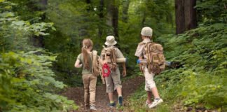 სასკოლო ექსკურსიების სავალდებულო მოთხოვნები მკაცრდება