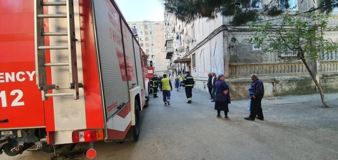 121524719_383081026064202_2482737049194586615_n