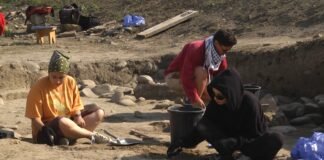 რუსთავის ციხეზე არქეოლოგიური სამუშაოები განახლდა