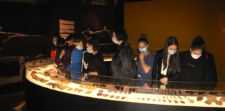 ბოლნისის მუზეუმში მოსწავლეებისთვის საჯარო ლექცია გაიმართა