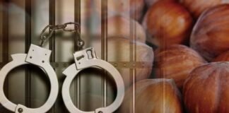 სამეგრელოში თხილით დატვირთული მიკროავტობუსი გაიტაცეს