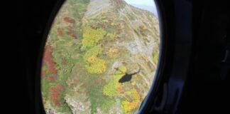 მეხანძრე-მაშველები წალენჯიხაში დაკარგულ მამაკაცს ეძებენ