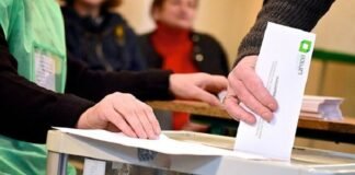 შემაჯამებელი ოქმის მიხედვით, მარნეულის მაჟორიტარულ ოლქში ზაურ დარგალმა გაიმარჯვა