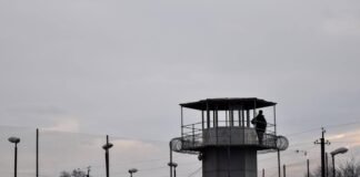 N20 რუსთავის საოლქო საარჩევნო კომისიას სამი სპეცუბანი დაემატა