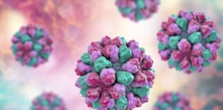 ნოროვირუსი – გორში ასობით ბავშვის მოწამვლის მიზეზი ცნობილია