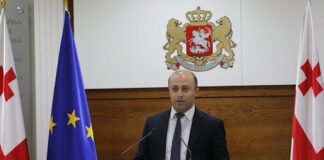 ბერდია სიჭინავა: ქვემო ქართლში ვირუსის 107 ახალი შემთხვევა დაფიქსირდა