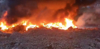 ხანძარი გაჩიანის მიმდებარე ტერიტორიაზე