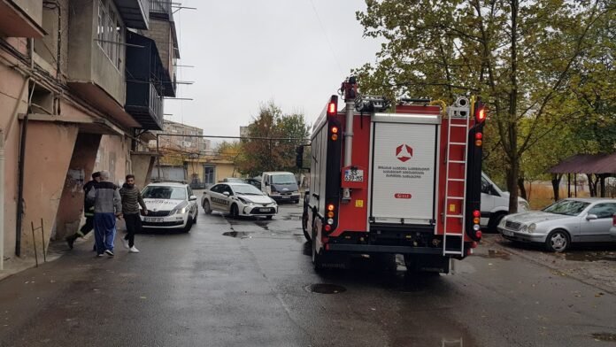 126793058_740983213294147_2265628869154078992_n