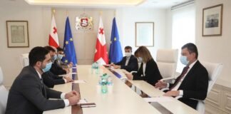 პრემიერი კერძო კლინიკების ხელმძღვანელებს შეხვდა