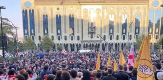 ოპოზიციური პარტიების მხარდამჭერები პარლამენტთან აქციას მართავენ