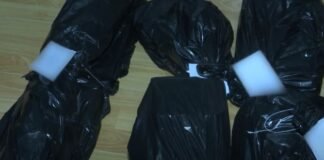 შსს: ბრალდებულმა რუსთავში, სხვადასხვა ქუჩაზე ავტომობილები გაქურდა(+ვიდეო)