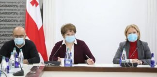 მთავრობა: ამ ეტაპზე, ქვეყანაში სრული “ლოქდაუნი” არ იგეგმება