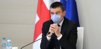 პრემიერი: დღეს ადამიანის უფლებების დაცვის საერთაშორისო დღეა