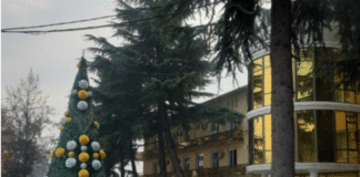 მარნეულში ახალი წლის განათებებზე ფული არ დაიხარჯება