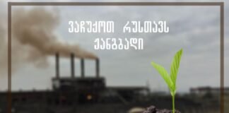 პროექტი “ვაჩუქოთ რუსთავს ჟანგბადი” დასრულების ეტაპზეა