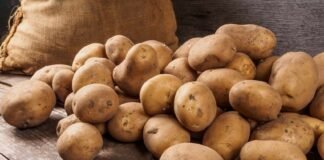 თურქეთიდან შემოტანილ კარტოფილში კარტოფილის კიბო აღმოჩნდა