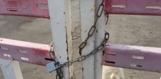 სამოქალაქო აქტივისტებმა სოკოს საწარმოს ჭიშკარს ბოქლომი დაადეს(+ვიდეო)