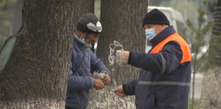 რუსთავში საახალწლო განათებების მონტაჟი დაიწო