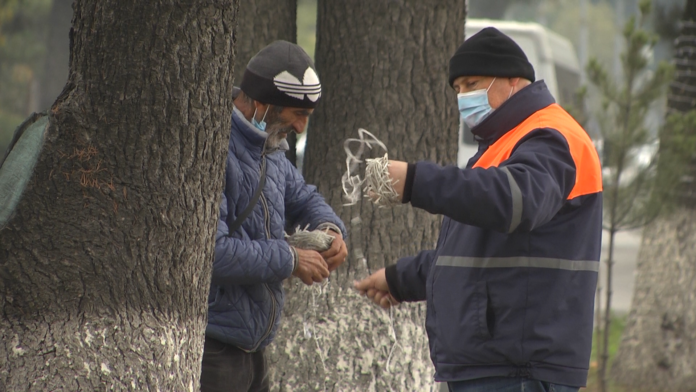 129578205_384814666102588_3045942687217308750_n