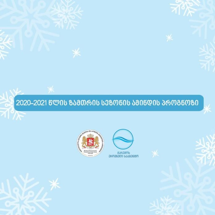 129691271_3730648470320547_7126877818361460352_o