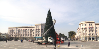 რუსთავში ნაძვის ხის მონტაჟის სამუშაოები დაიწყო