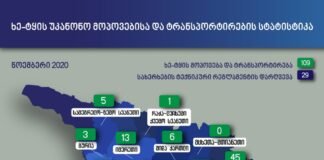 ხე-ტყის უკანონო მოპოვებისა და ტრანსპორტირების 109 ფაქტი გამოავლინა