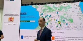 დავითაშვილი: დაშბაშის კანიონი პირველი კერძო საერთაშორისო ინვესტიცია