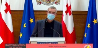 ღია ეთერი 20:30-ზე 29.12.2020