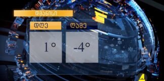 ქრონიკა 20:30-ზე 4.12.2020