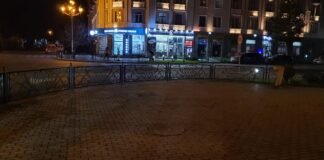 სად წავიდა რუსთაველი ბიჭუნა?