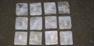 შსს-მ 7 კილოგრამი, 2 მილიონამდე ლარის „ჰეროინი“ ამოიღო