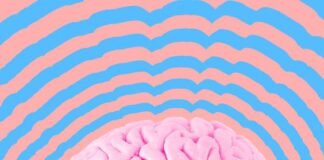 Quizz მითი თუ რეალობა?