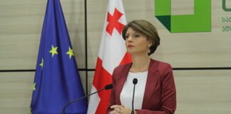 ცესკოს პრესსპიკერი ანა მიქელაძე თანამდებობას ტოვებს