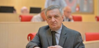 ვოლსკი: ჩვენ ჩავატარეთ პლებისციტზე უფრო მეტი, ეს იყო არჩევნები