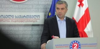 ბაქრაძე: ელჩების თხოვნაა, სანამ არ იქნება პასუხი „ოცნებიდან“, დეტალებზე არ ვისაუბროთ