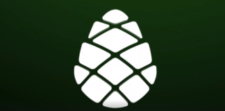 “გირჩი” განცხადებას ავრცელებს